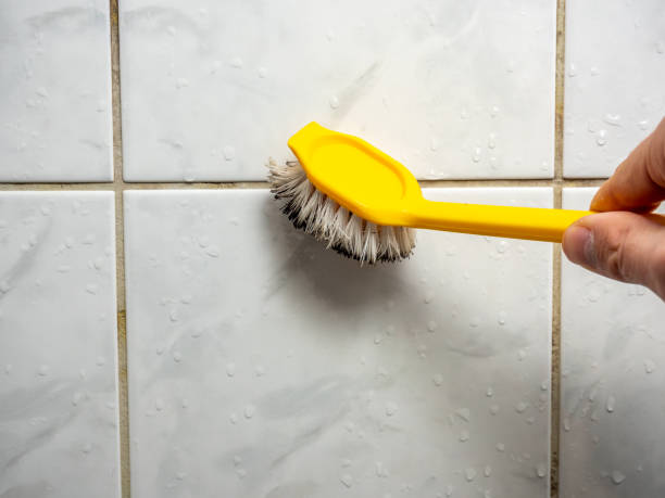 Best Office Mold Removal Services  in Penn Valley, CA
