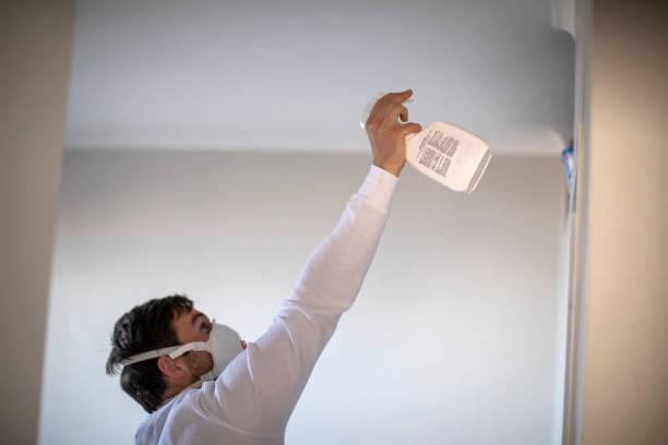 Office Mold Removal Services in Penn Valley, CA
