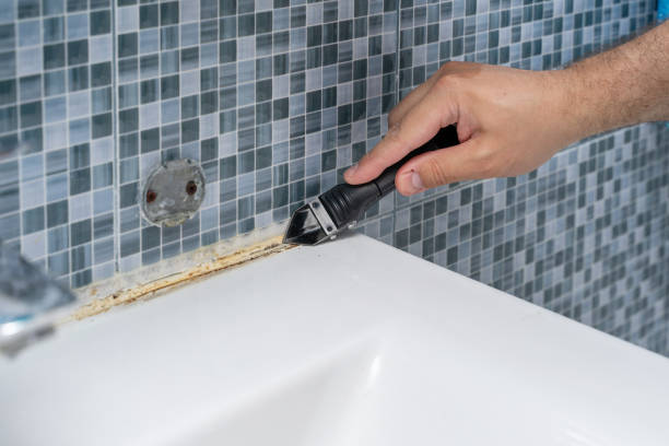 Best Commercial Mold Removal  in Penn Valley, CA