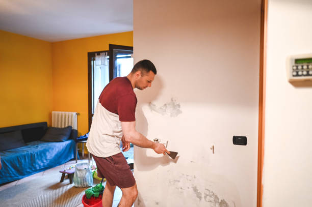 Best Residential Mold Removal  in Penn Valley, CA